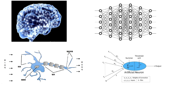 image-20230830155136554