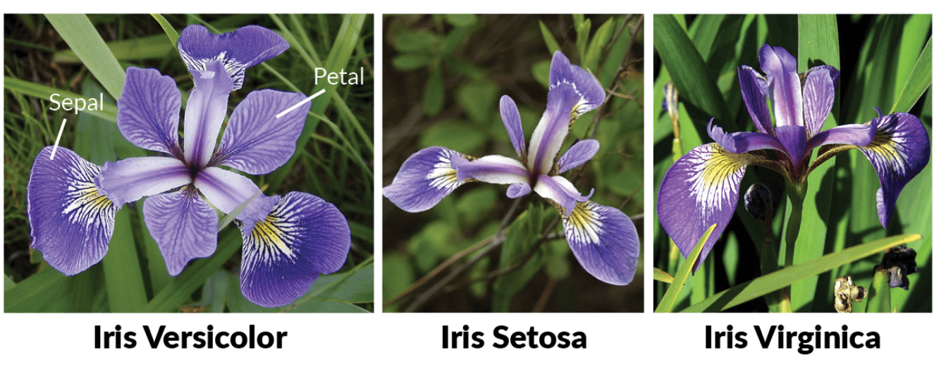 image-20230831103857938