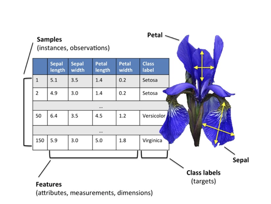 image-20230831104203971